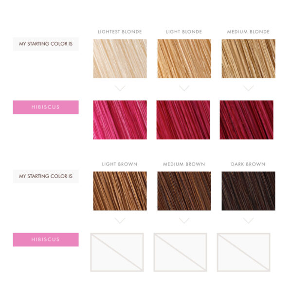 Máscara Con Color Hibiscus Moroccanoil 200ML 